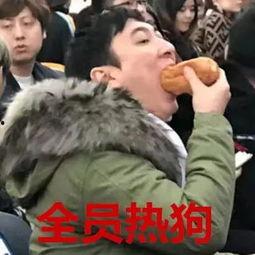 娱乐八卦吃瓜图片表情包,吃瓜群众眼中的明星表情包大赏